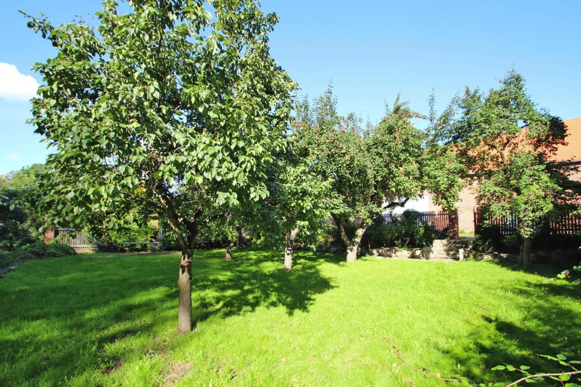 Ferienhaus Rosenhof In Lenzen Bagian luar foto